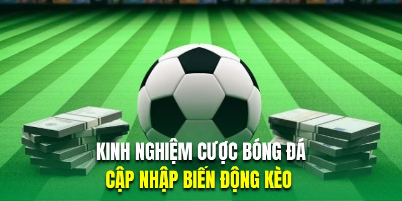 kinh nghiệm cược bóng đá